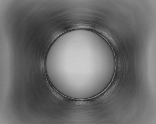 X0000112381281200908271311