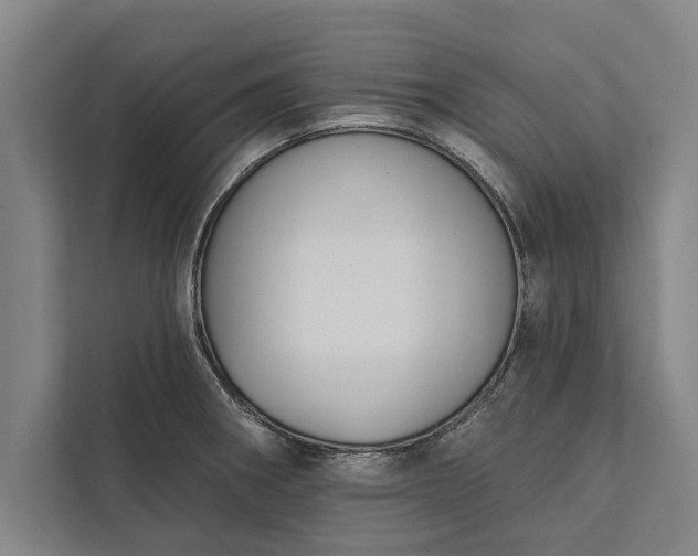 X0000112381282200908271311