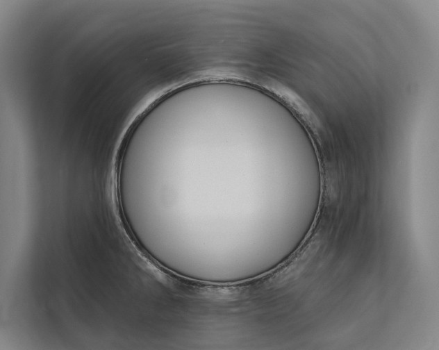 X0000112381286200908271311