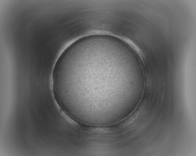 X0000112381287200908271311