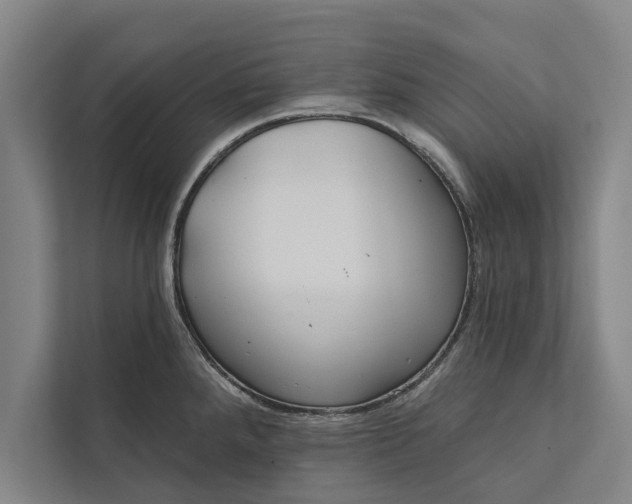 X0000112381288200908271311