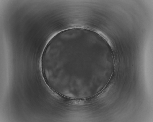 X0000112381291200908271311