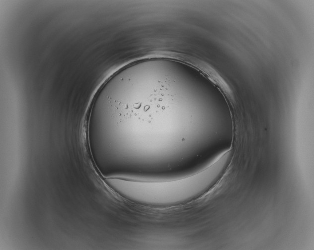 X0000112381292200908271311