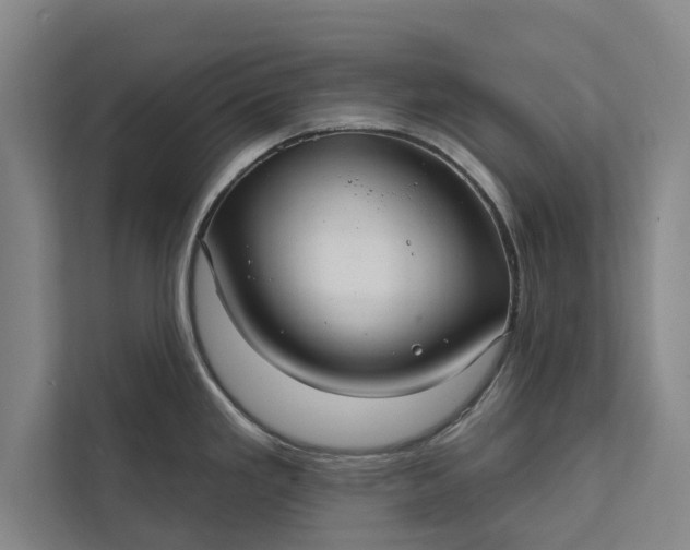 X0000112381293200908271311