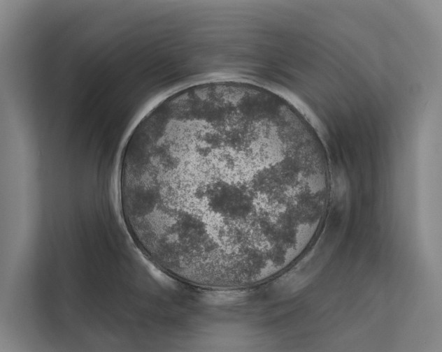 X0000112381294200908271311