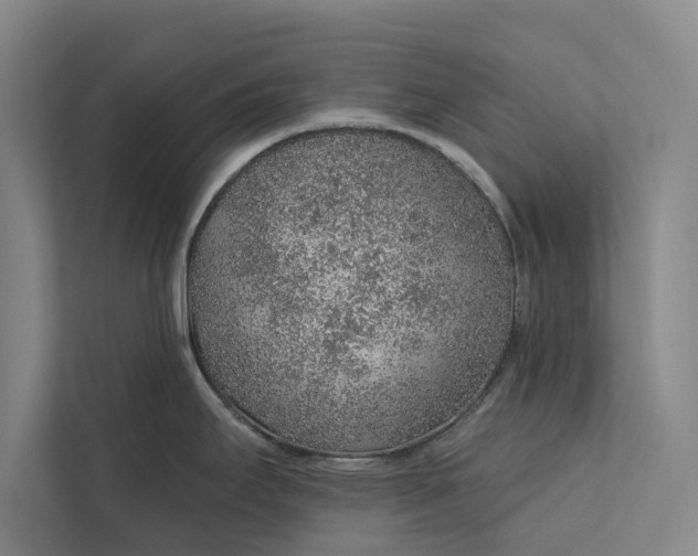 X0000112381295200908271311