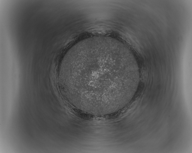 X0000112381297200908271311