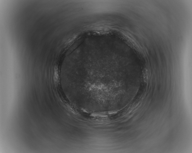 X0000112381298200908271311