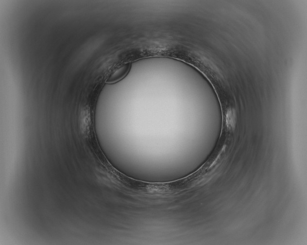 X0000112381299200908271311