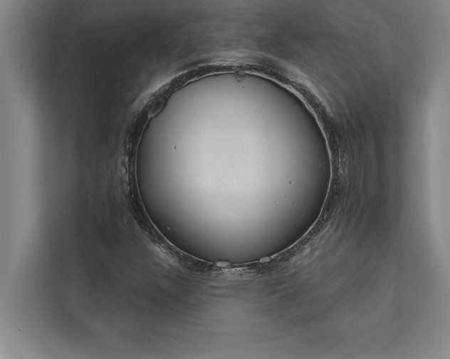 X0000112381304200908271311