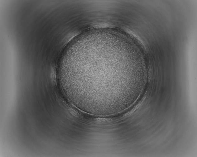 X0000112381305200908271311