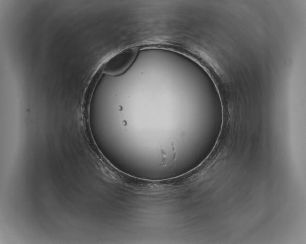 X0000112381308200908271311