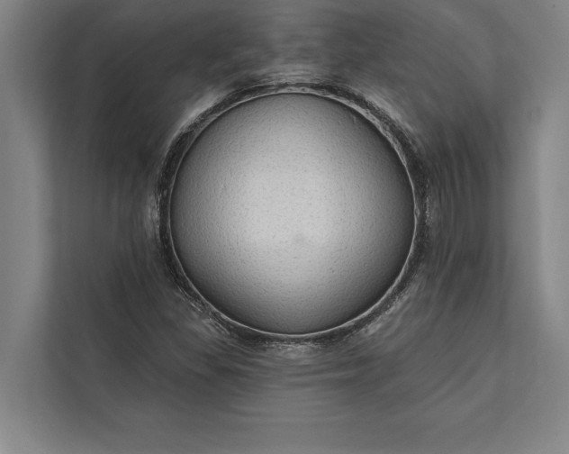 X0000112381309200908271311