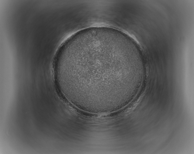 X0000112381311200908271311