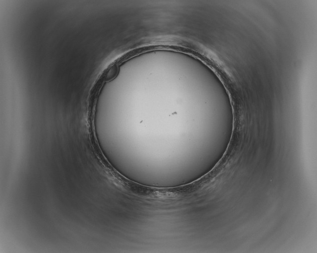 X0000112381312200908271311