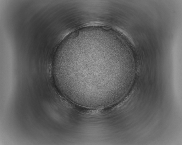 X0000112381313200908271311