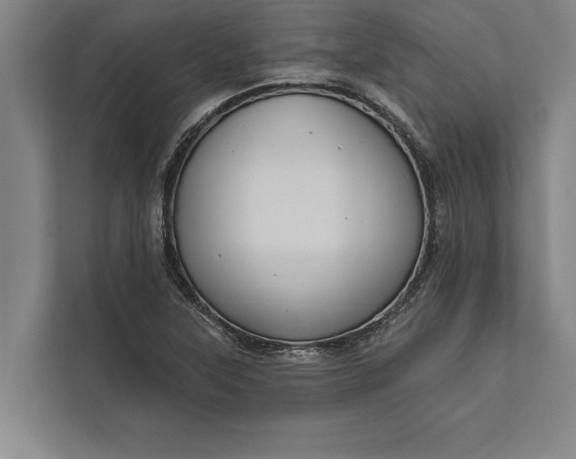 X0000112381315200908271311