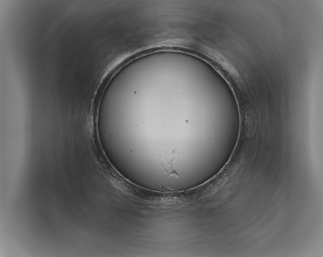 X0000112381316200908271311