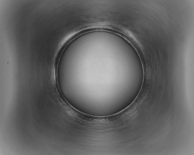 X0000112381320200908271311