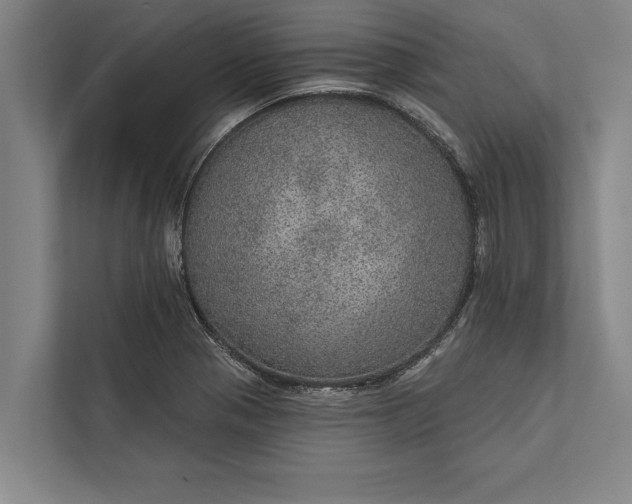 X0000112381321200908271311