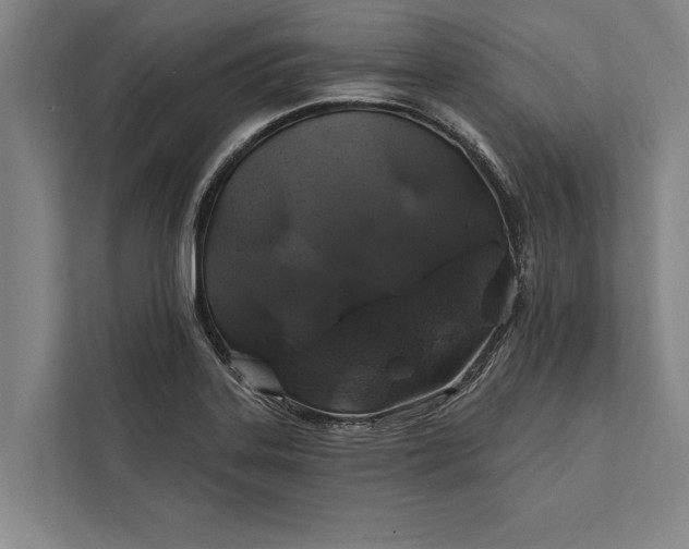 X0000112381323200908271311