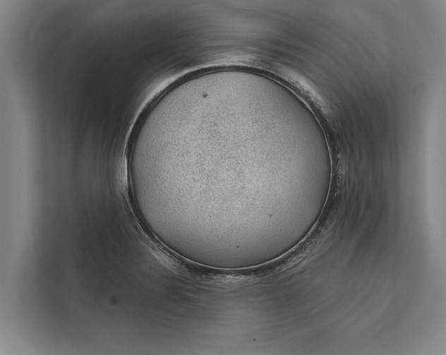 X0000112381324200908271311