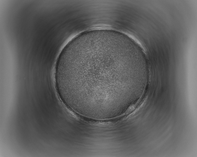 X0000112381325200908271311