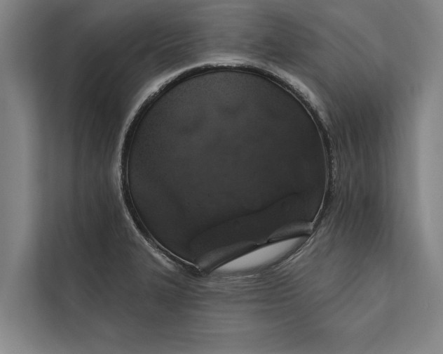 X0000112381327200908271311