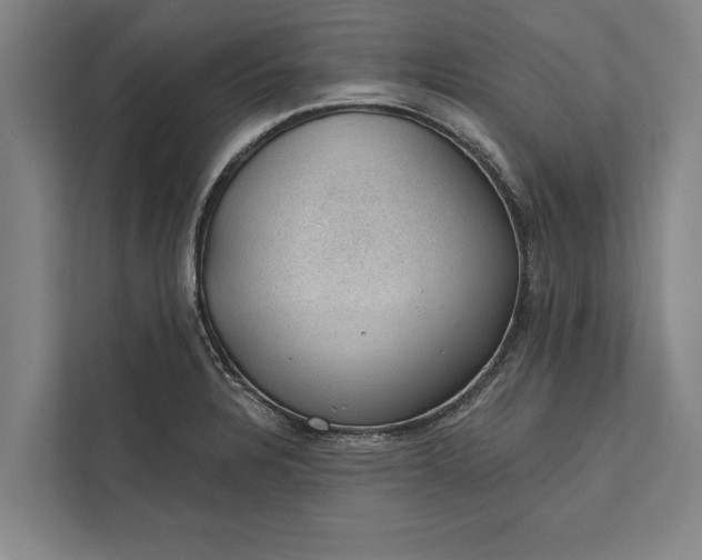 X0000112381328200908271311