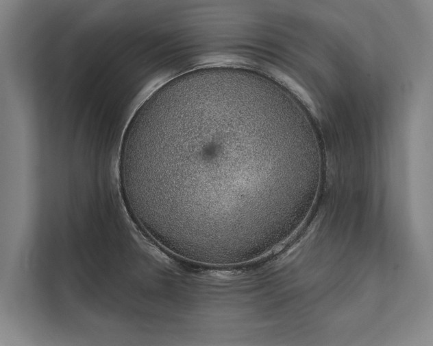 X0000112381330200908271311