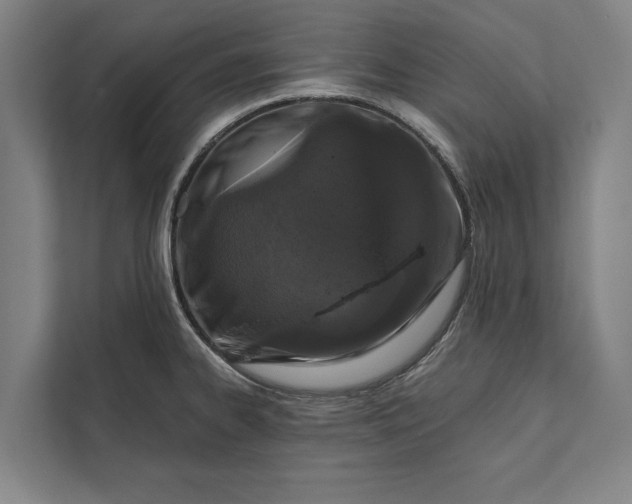 X0000112381334200908271311