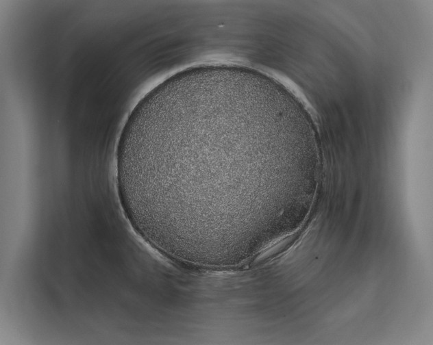 X0000112381335200908271311