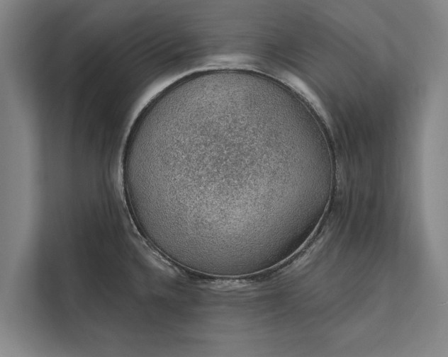 X0000112381336200908271311