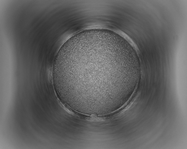 X0000112381337200908271311