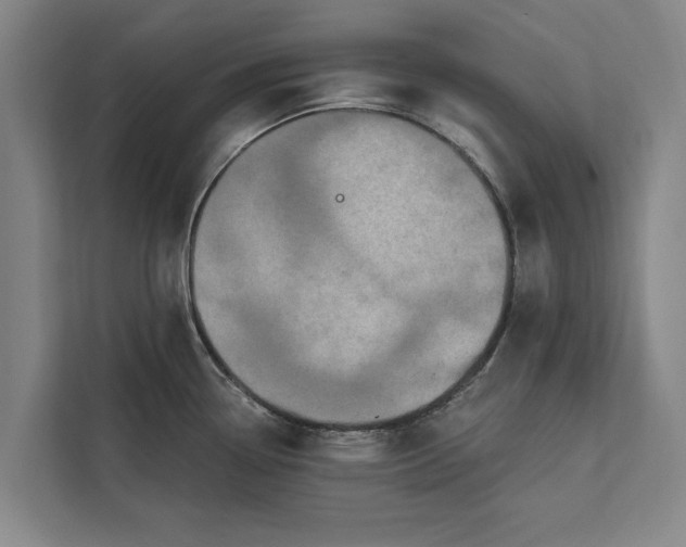 X0000112381338200908271311