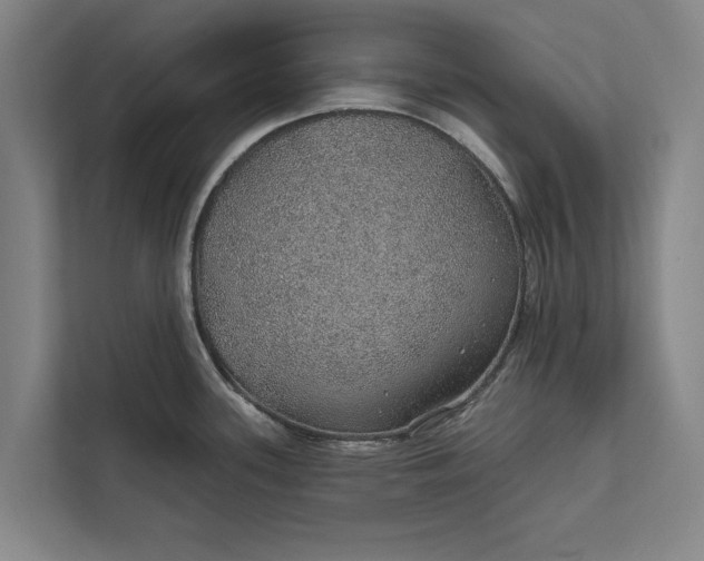 X0000112381339200908271311