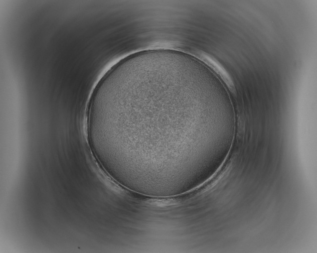 X0000112381340200908271311