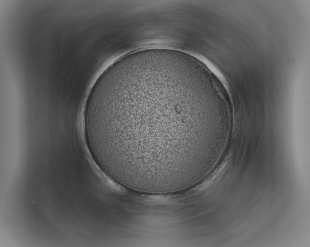 X0000112381341200908271311