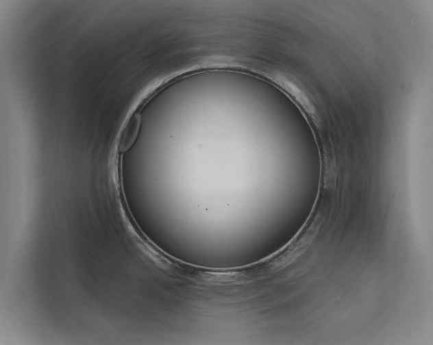 X0000112381342200908271311