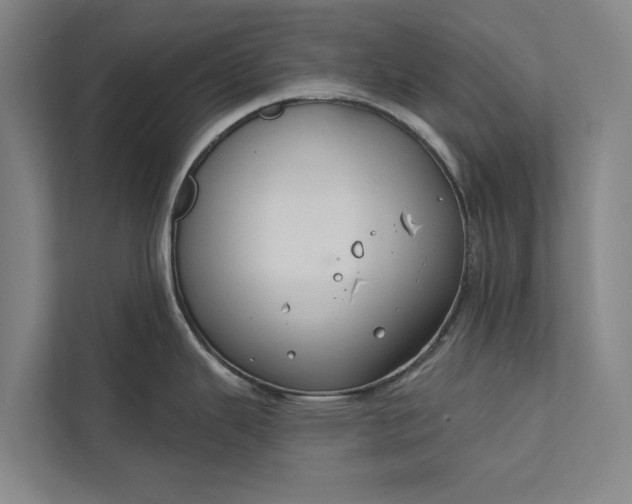 X0000112381343200908271311