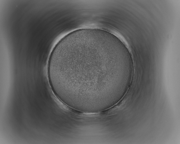 X0000112381344200908271311