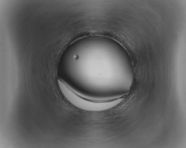 X0000112381345200908271311