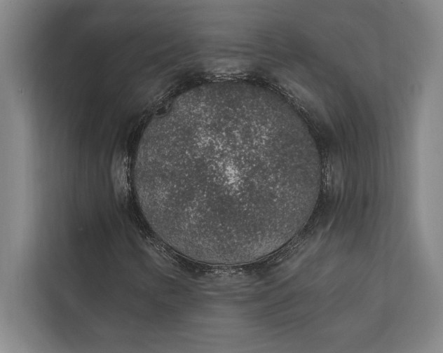 X0000112381346200908271311