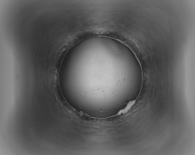 X0000112381349200908271310