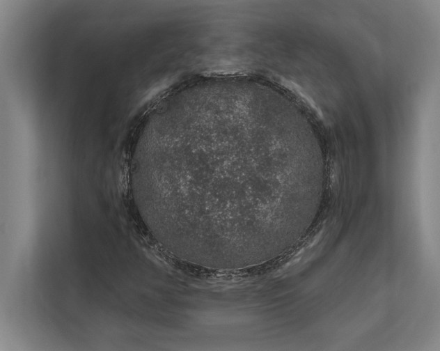 X0000112381350200908271310