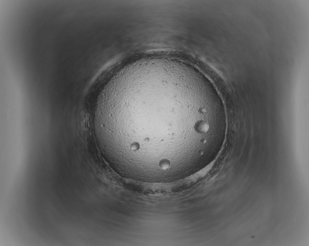 X0000112381351200908271310