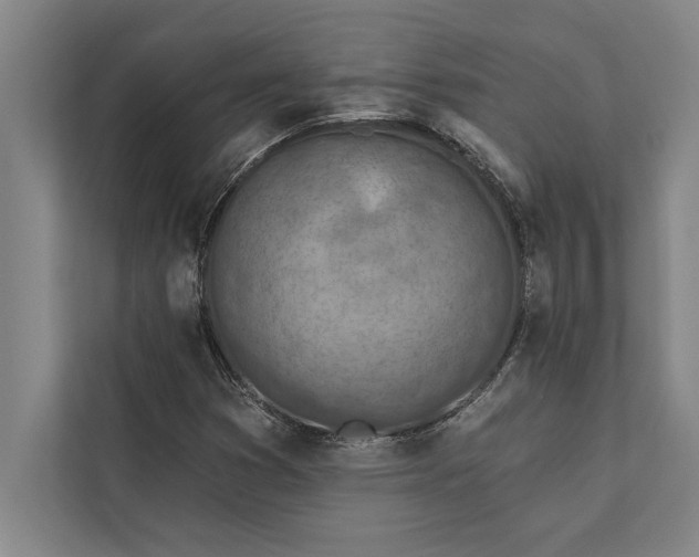 X0000112381353200908271310