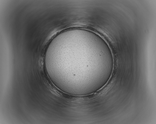 X0000112381355200908271310