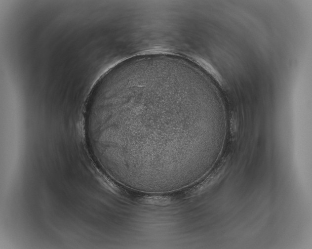 X0000112381356200908271310