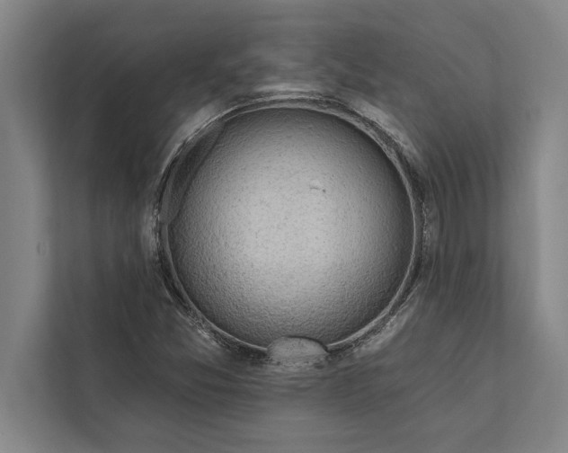 X0000112381357200908271310